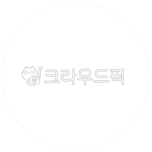 도일리,페이퍼,리스,화이트,동그라미,배경화면