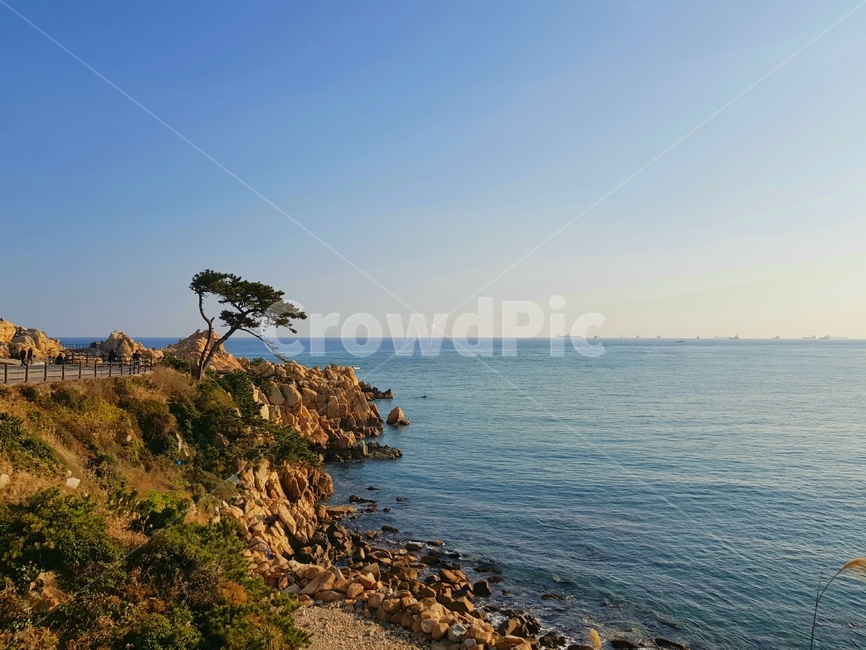 곶,promontory,바다,대왕암,울산바다,동해안,자연,풍경,바위,경치,배경,sea,동해바다,하늘,sky,소나무