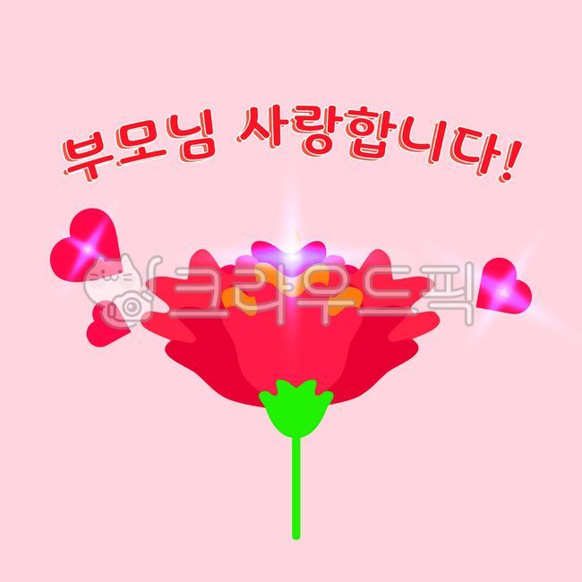 flower,꽃,어버이날,카네이션,부모님,부모사랑