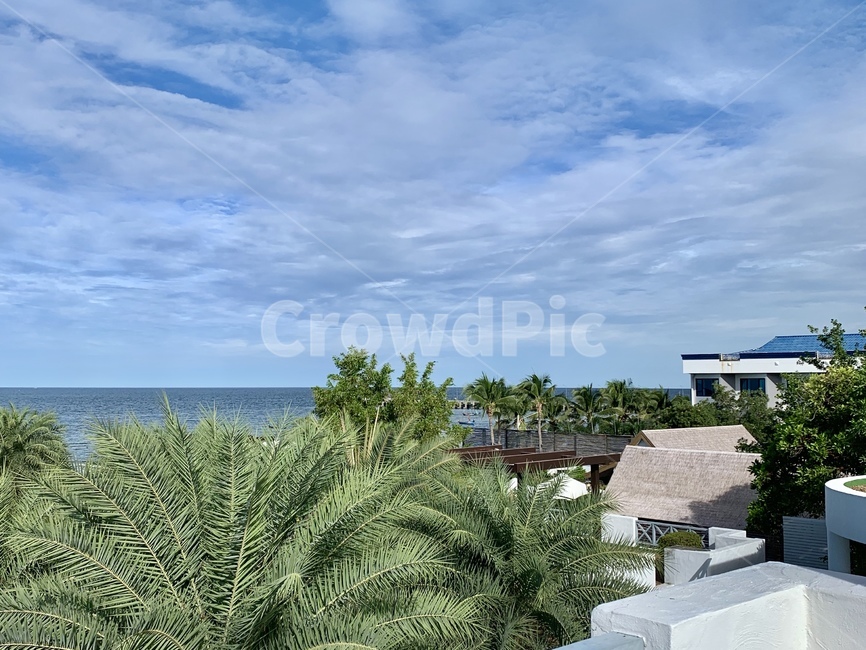 sea,ocean,sky,thailand,huahin,resort,바다,하늘,구름,cloud,태국,후아힌,리조트,풍경,landscape,야자수,나무,tree,palmtree,palm,야자나무,arecaceae,자연,풍경,nature,landscape,나무,trees,wood