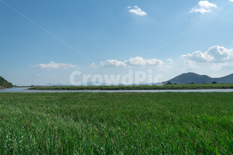 순천만,습지,풍경,자연,landscape,배경화면,sky,하늘,자연,풍경,nature,landscape,한국자연풍경,한국자연경관,korea nature landscape,outdoors,옥외,field,들,land,땅