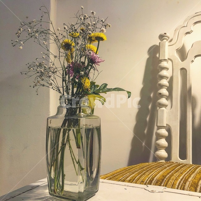 카페,카페소품,소품,빈티지소춤,꽃병,빈티지의자,실내용화초,화분,화초,house plant