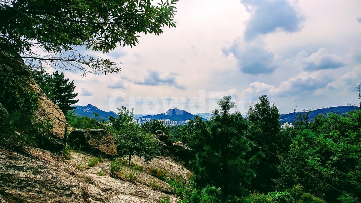 자연,산,나무,풍경,outdoors