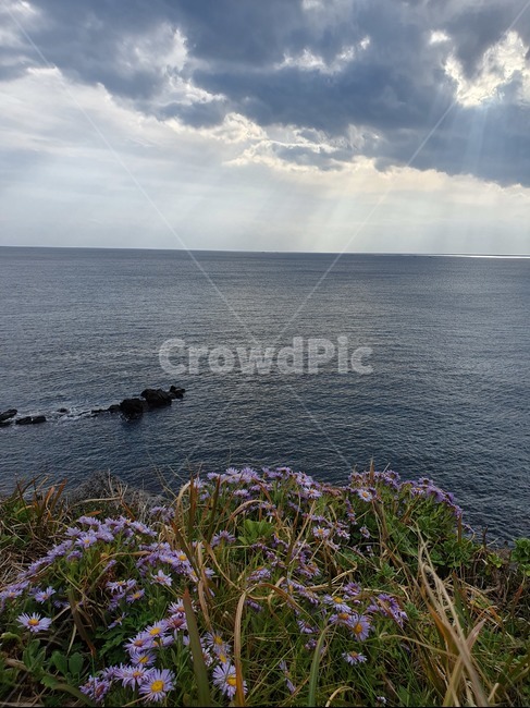 햇빛,눈부심,겨울바다,제주,jeju,제주도