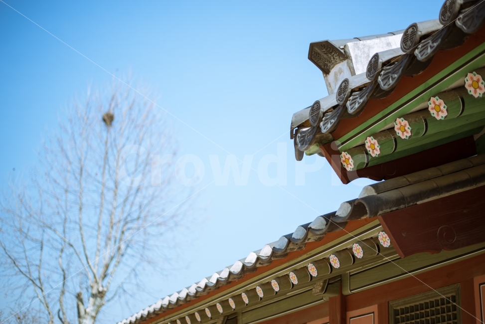 한국,수원,화성행궁,전통적,하늘,깨끗한,봄,따뜻한,여행,관광,스냅,korea,suwon,whaseonghaenggung,traditional,clean,sky,spring,warm,travel,trip,건축물,건물외관,exterior,building,structure,architecture,construction,한국전통,한국문화,korean traditional,korean culture