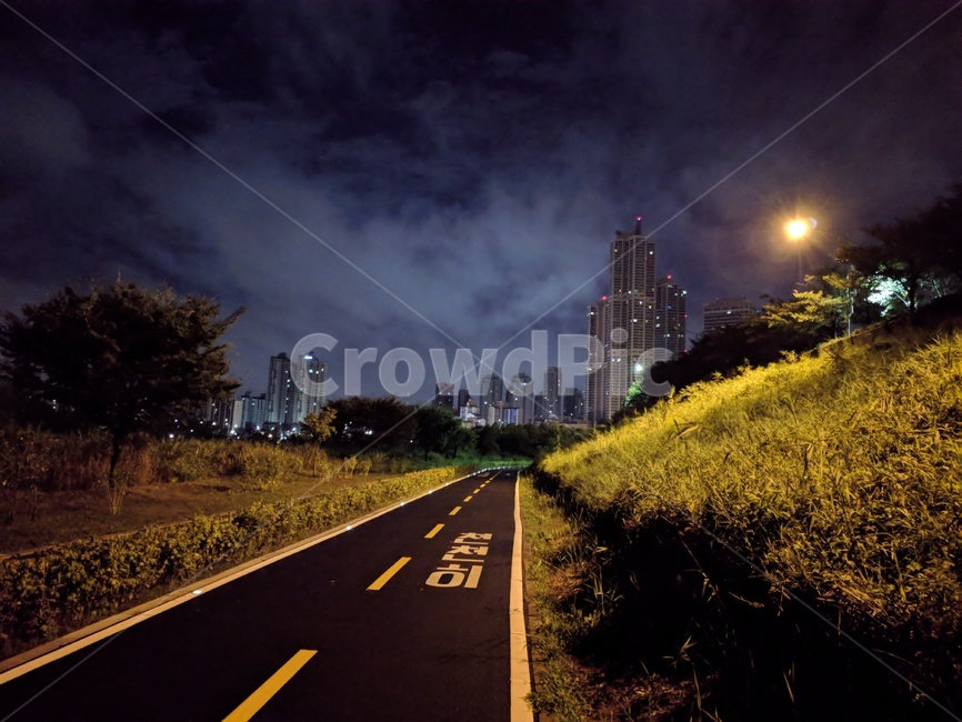 도로,freeway,아스팔트,road,asphalt,새벽,야경,밤,풍경,nightscape,night,landscape