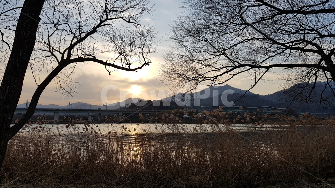 경기도남양주운길산공원,노을,나무가지,수변,북한강