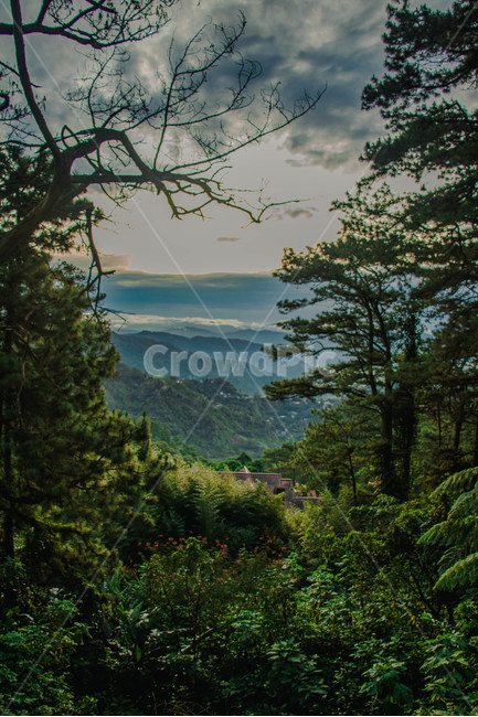 nature,자연,tree,나무,plant,vegetation,옥외,outdoors,식물,초목,sunset,노을,석양,phillppines,phillppines,자연,풍경,nature,landscape