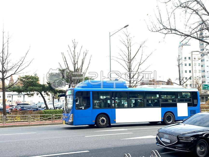 버스,버스광고,목업,목업이미지,광고,광고판,차량광고,시내버스광고,부착광고,옥외광고,판넬,비즈니스,상업광고판,도시배경,사인보드,상업광고,커머셜,비어있는,프레임,광고디자인,빈공간,배경,바탕,백그라운드,사각형광고판,차량,교통수단,bus,busadvertisement,mockup,mockupimage,billboard,vehicleadvertisement,citybusadvertisement,advertisement,outdooradvertisement,panel,business,commercialbillboard,citybackground,signboard,commercialadvertisement,commercial,free,frame,advertisingdesign,emptyspace,background