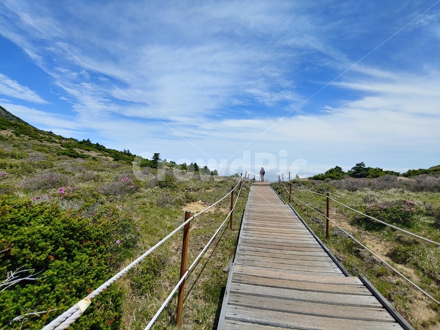 하늘,산,구름,들판,길,mountain,sky,clouds,green,초록,등산,한라산,배경,데크,혼자,홀로,alone