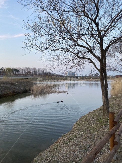 water,물,outdoors,옥외,nature,자연,운정호수공원,파주