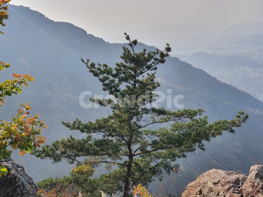 nature,자연,단풍,산,가을,autumn,단풍나무,가을산,계절,tree,나무,풍경,가을,계절,fall,autumn,season,식물,자연,plants,nature,나무,trees,wood