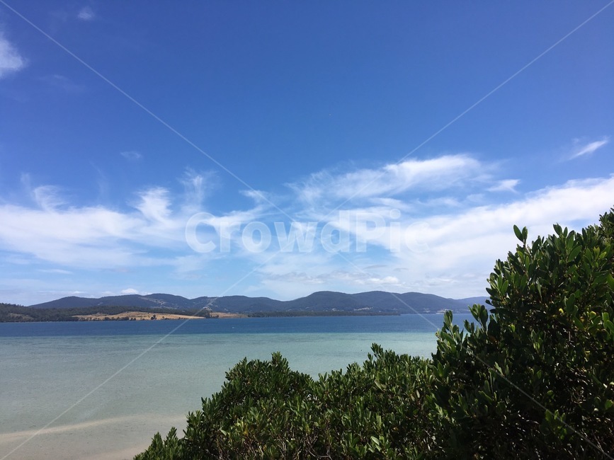 해변,바다,자연,하늘,구름,sea,beach,nature,sky,blue,tree