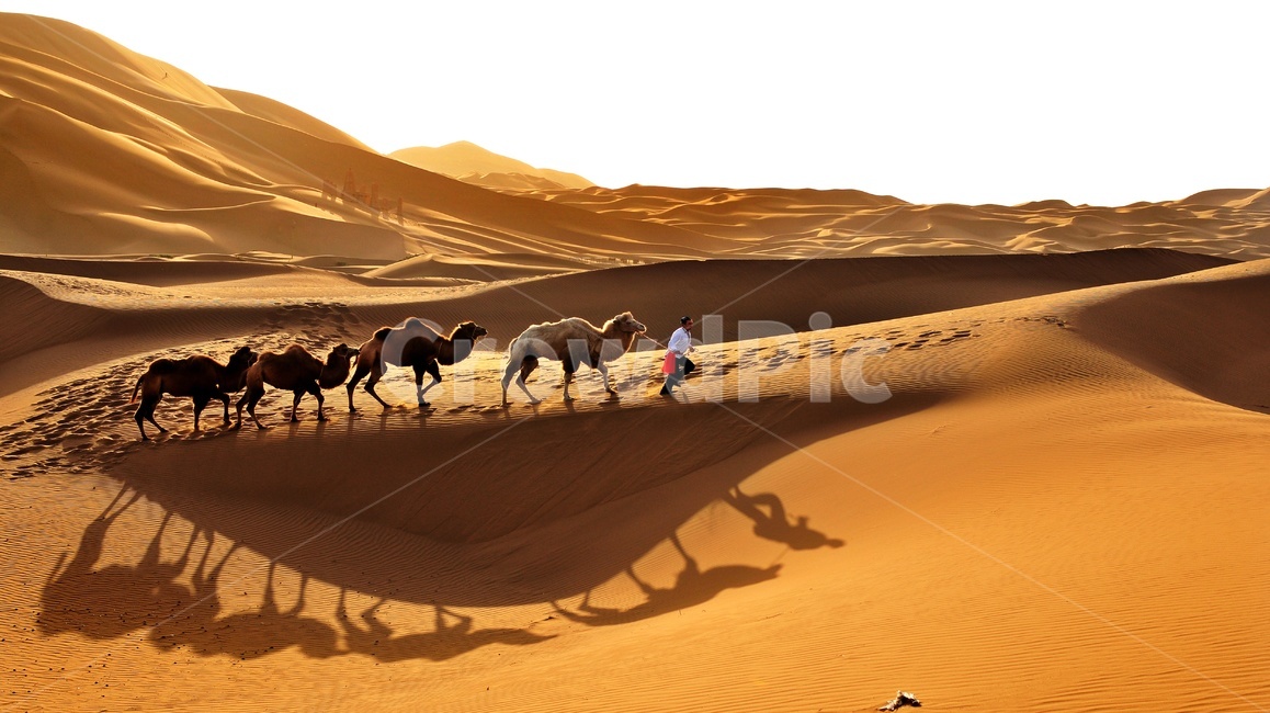 nature,자연,outdoors,옥외,sand,모래,person,사람,human,인간,중국,바단지린사막,낙타,그림자,사막,빛,자연,풍경,nature,landscape,해외,외국,세계,foreign,oversea,world,세계자연풍경,해외자연풍경,외국자연풍경,world nature landscape