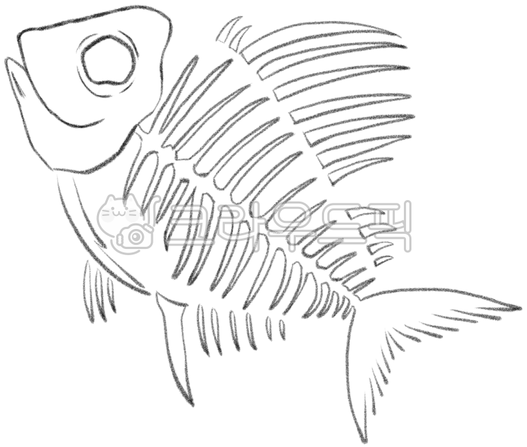 생선,생선뼈,화석,화석그림,화석도안,화석일러스트,생선뼈화석,생선뼈일러스트,생선뼈그림,물고기,물고기뼈,물고기뼈도안,물고기화석,색칠공부,색칠도안,물고기뼈색칠공부,물고기뼈색칠도안,물고기화석색칠공부