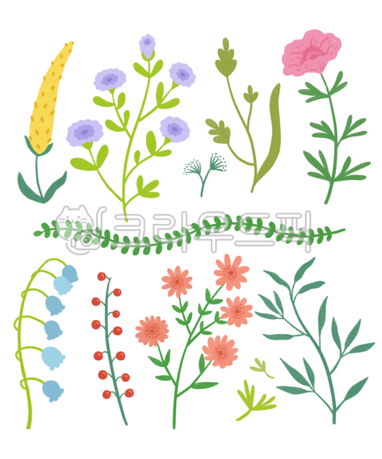 클립아트,꽃,꽃다발,컬렉션,다채로운,장식,장식적인,디자인,그림,요소,식물,그래픽,녹색,카드,허브,일러스트,잎,나뭇잎,라일락,자연스러운,자연,파스텔,패턴,꽃잎,복고풍,시즌,세트,여름,빈티지,계절,봄,손그림