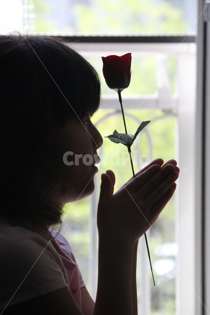 장미한송이,여자아이,역광,소원,기도,소망