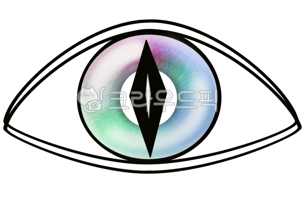 Ophthalmology,eyeballs,double eyelid couple,snake eyes,sharp eyes,unique eyes,cat eyes,fierce eyes,alien eyes,doll eyes,alien,one eye,Egyptian eyes,circle lenses,lenses,fashion lenses,fashion items,contact lenses,human eyes,mysterious e