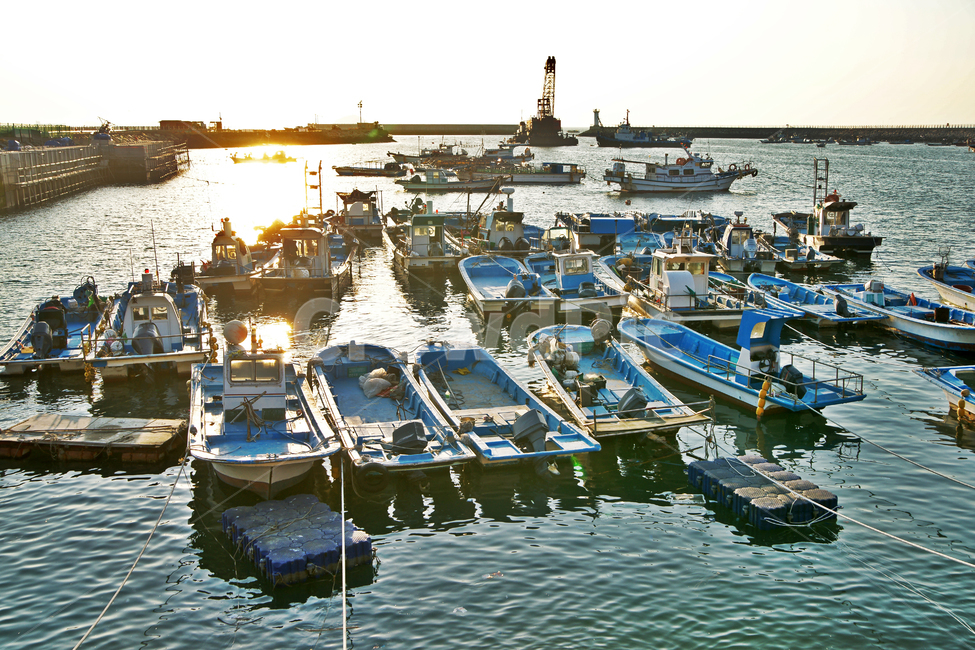 어선,고깃배,정박,궁평항,부두,항구,화성,바다,일몰,산업,industry,industrial,어업,fishery,fishing industry