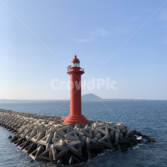 등대,바다,제주도,파도,방파제,등대,lighthouse
