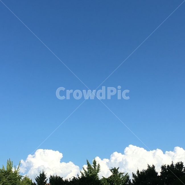 풍경,하늘,뭉게구름,구름,맑음,자연,sky,skyview,clearday,cloud,blue,자연,풍경,nature,landscape,outdoors,옥외,tree,나무,plant,식물