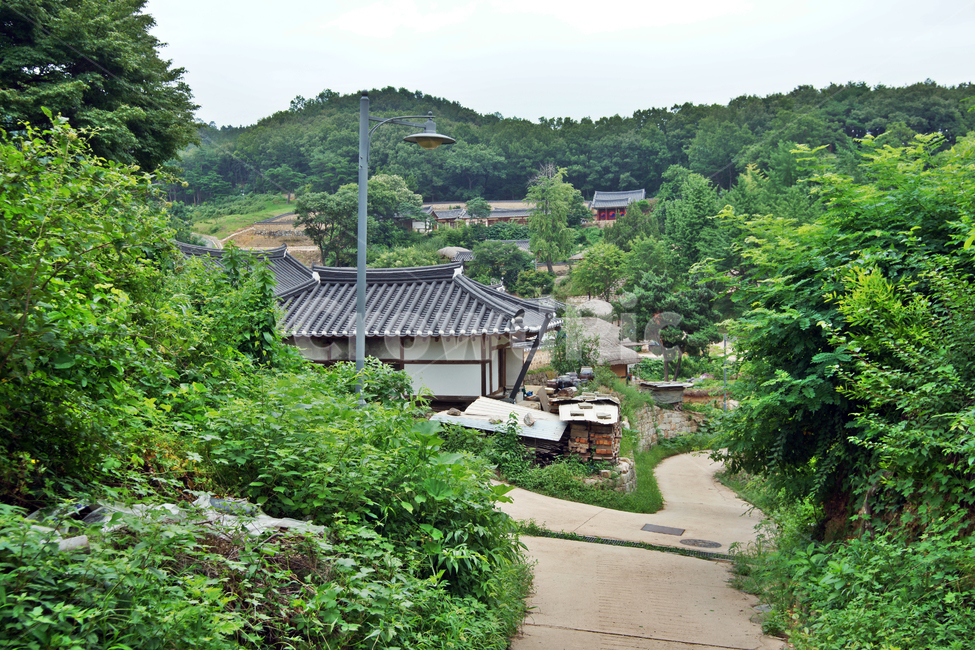 양동마을,경주,양반,집성촌,민속마을,조선시대,한옥,기와집,초가,문화재,유네스코세계유산,전통문화,월성손씨,여강이씨,자연,전통가옥,시골,마을,풍경,landscape,country,rural,town,한국전통,한국문화,korean traditional,korean culture