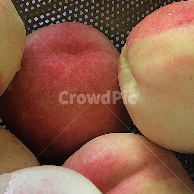 과일,복숭아,백도복숭아,fruit,peach