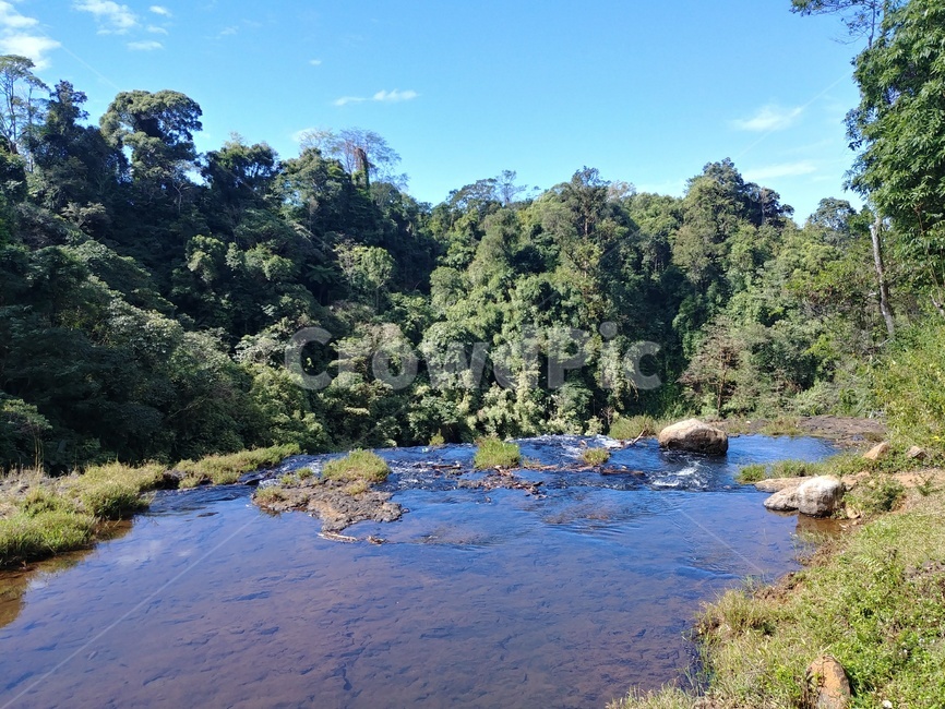 자연,nature,식물,plant,물,water,자연,풍경,nature,landscape