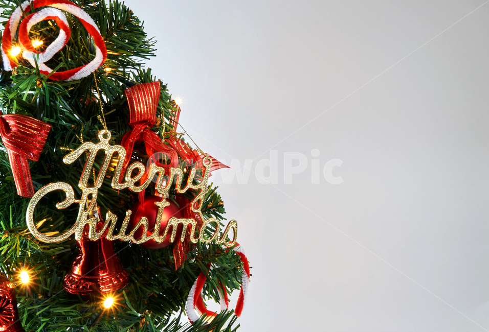 크리스마스,장식,트리,조명,성탄절,나무,겨울,휴일,우아한,축하,12월,빛나는,축제,christmas,tree,background,decoration,holiday,design,winter,new,year,흰배경,겨울,계절,winter,season,메리크리스마스,성탄절,merry christmas