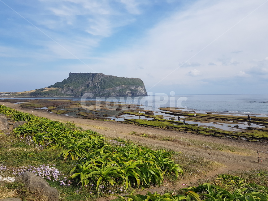 옥외,자연,풍경,바닷가,성산일출봉,자연,풍경,nature,landscape,제주도,jeju,jeju island