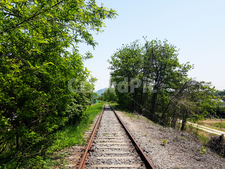 철도,기차,철로,기찻길,기차역,시골풍경,자연,풍경,nature,landscape,railway,rail,레일,transportation,교통,train track,gravel,자갈,dirt road,흙길,road,도로