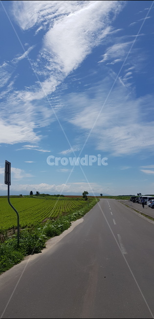 풍경,탁트인,드넓은,시원한,도로,자연,풍경,nature,landscape,road