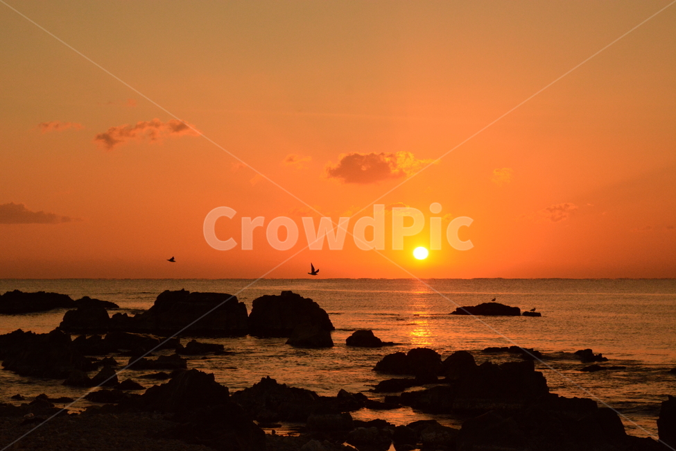해,일출,해돋이,바다,해변,바위,포항,빛,겨울바다,sea,ocean,sun,sunrise,하늘,sky,korea,sunshine,자연,풍경,nature,landscape,한국자연풍경,한국자연경관,korea nature landscape,outdoors,옥외,sunlight,햇빛,red sky,붉은 하늘,dawn,새벽,dusk,황혼,sunset,일몰