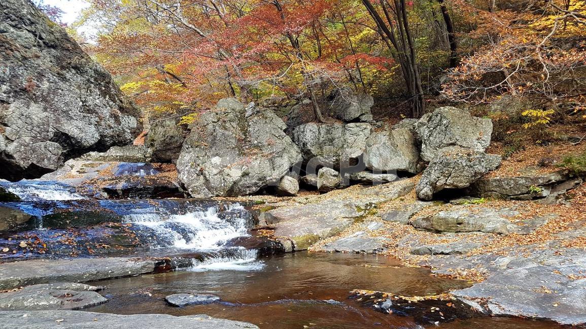 지리산,가을,단풍,뱀사골,계곡,가을,계절,fall,autumn,season,자연,풍경,nature,landscape,water,물,outdoors,옥외