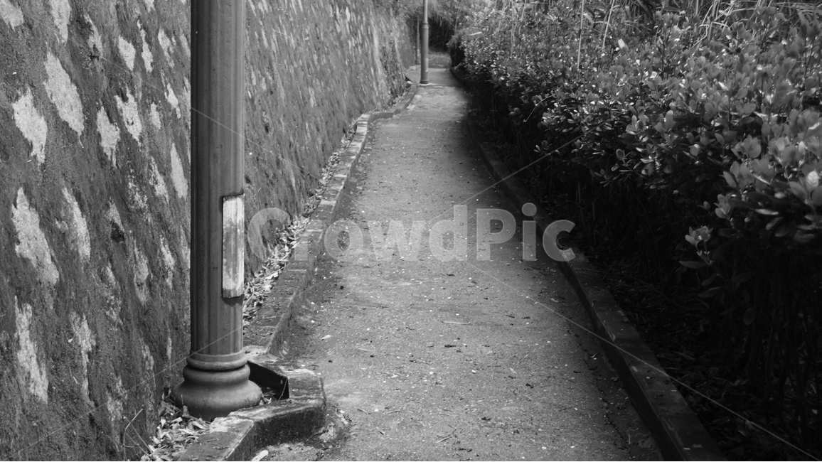 흑백사진,공원,산책,휴식,가로등,감성사진,골목길,alley,흑백,모노톤,monochrome,black and white