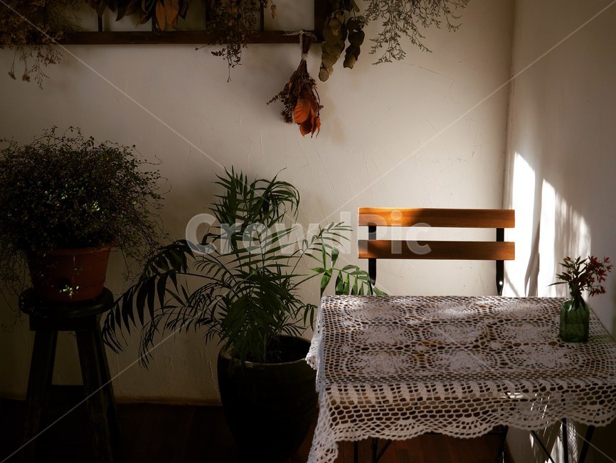 카페,식물,여유,감성,힐링,cafe,plants,rest,mood,healing,꽃,분위기,자연,빛,물,빈티지,light,water,vintage,인테리어,실내디자인,interior design