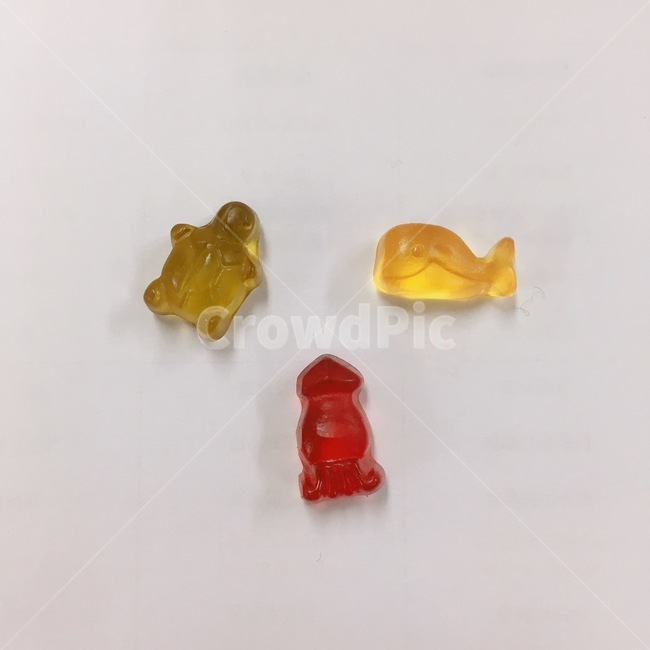 젤리,과일젤리,동물젤리,jelly,색감있는젤리,chewingjelly,음식,식재료,요리,food,cook,meal,dishes,food reserves,디저트,간식,후식,dessert,snack