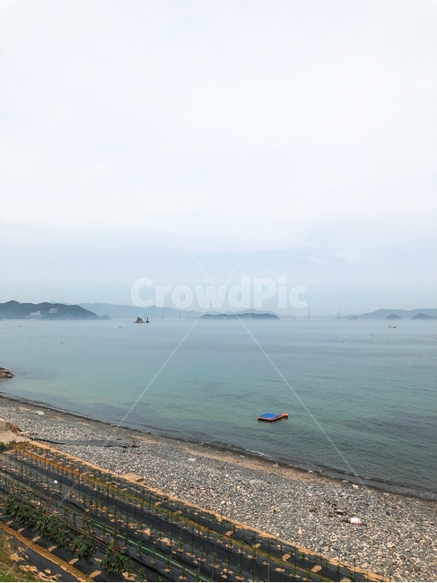 바다,해안가,밭,텃밭,배경,풍경