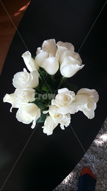 plant,꽃꽂이,blossom,식물,flowerarrangement,식물,자연,plants,nature,꽃,flower