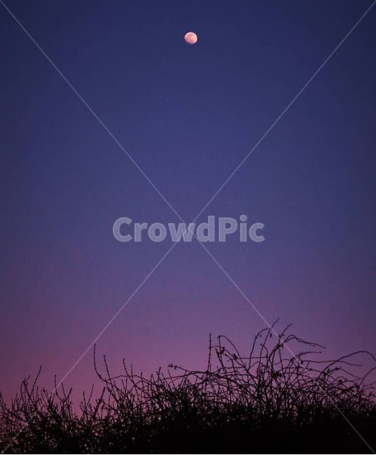 달,야경,밤하늘,노을,보라,자연,풍경,nature,landscape,야경,밤,nightscape,night,outdoors,옥외,astronomy,천문학,universe,우주,moon,outer space,대기권 밖,space