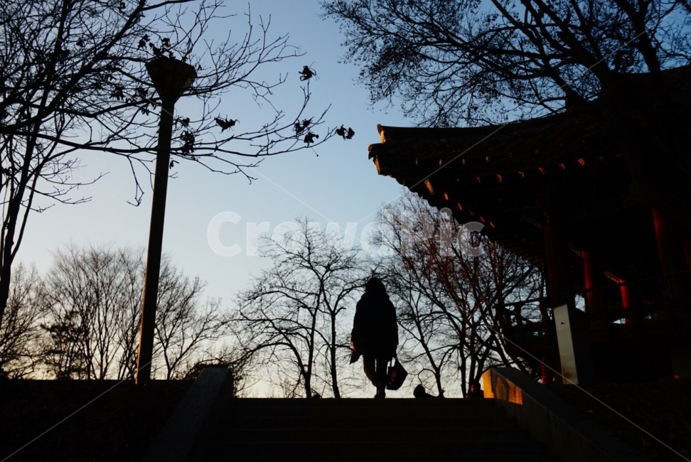 엄마,가족,부모님,뒷모습,풍경,노을,여행,어머니,한국전통,한국문화,korean traditional,korean culture,사람,인물,인간,human,person,인물실루엣,사람실루엣,character silhouette,human silhouette,architecture,건축물,building,건물,worship,예배,shrine,신사,temple,신전,pagoda,탑,bird,새,animal,동물