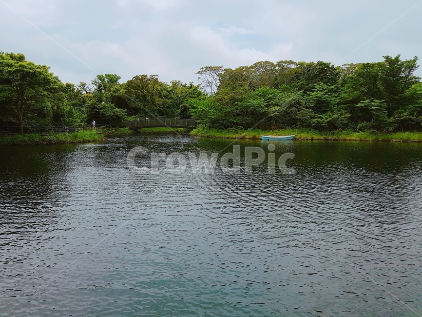강,나무,풍경,제주도,고화질,초고화질,제주도풍경,자연,풍경,nature,landscape,water,물,outdoors,옥외,lake,호수
