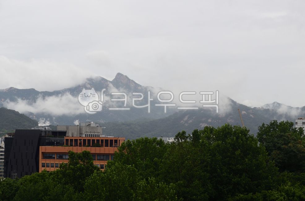 mountainrange,building,Bukhansan Mountain,cloud,mountain,Made in Korea,cloudmist,cloudandmist,downtown Seoul,rain,tree,mountain range,peaks,korea,Jongnogu,stop,clearup,Seoul product,fog,mountain peak,Seoul City,mist,Cloudy Island,cloud fog,cloudfog,in the