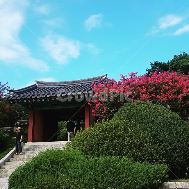 오죽헌,한국적인,신사임당,문화재,강릉,한국전통,한국문화