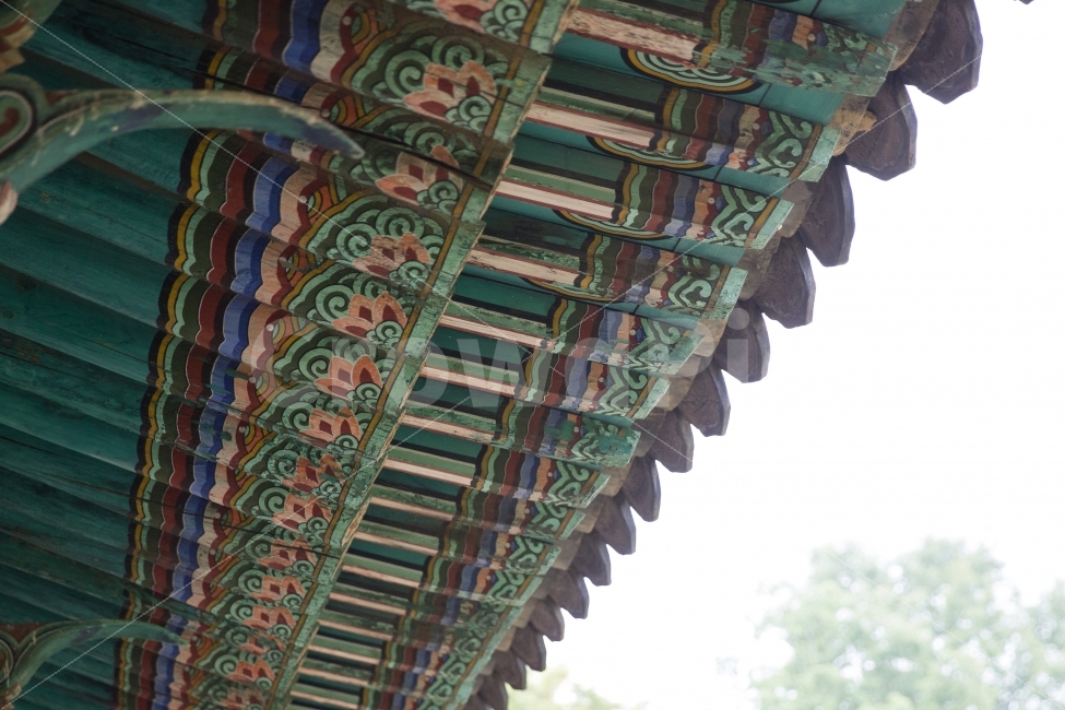 세계문화유산,선릉,처마,고전,중종왕릉,건축물,건물외관,exterior,building,structure,architecture,construction,한국전통,한국문화,korean traditional,korean culture