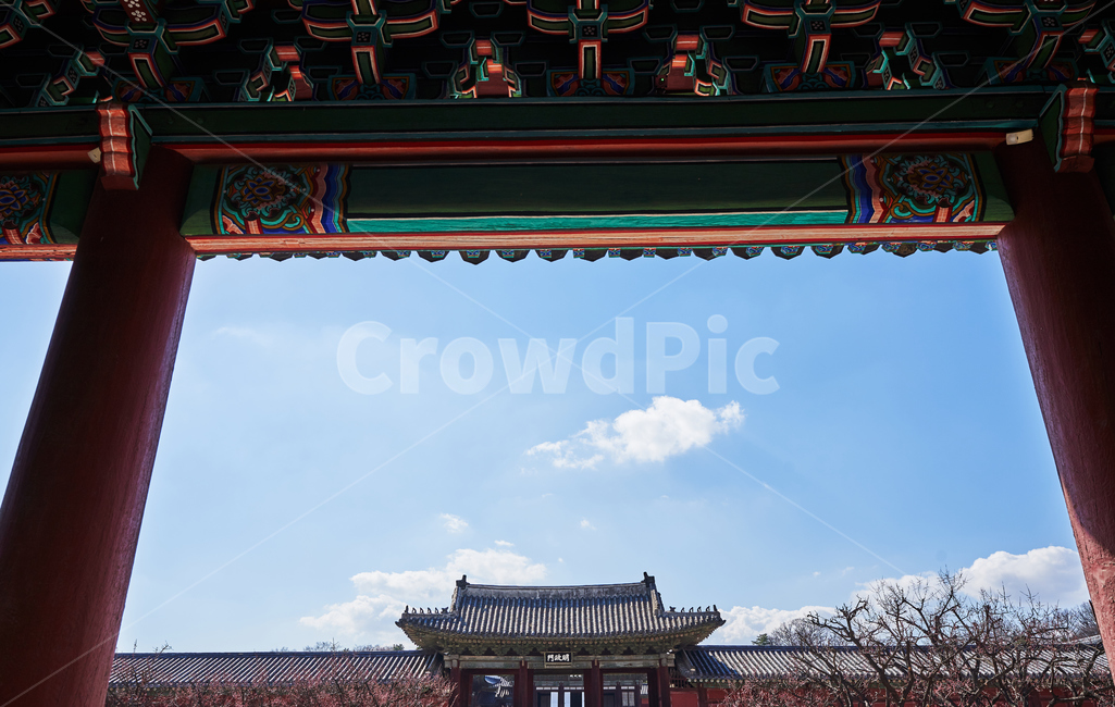 창경궁,한옥,궁궐,한국전통,고궁,랜드마크,기와