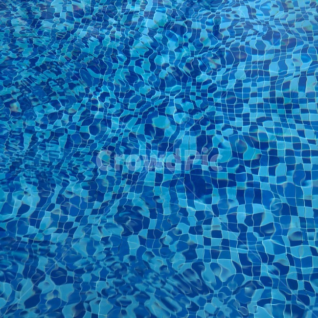 물,수영장,pool,여름,수영,여름,계절,summer,season