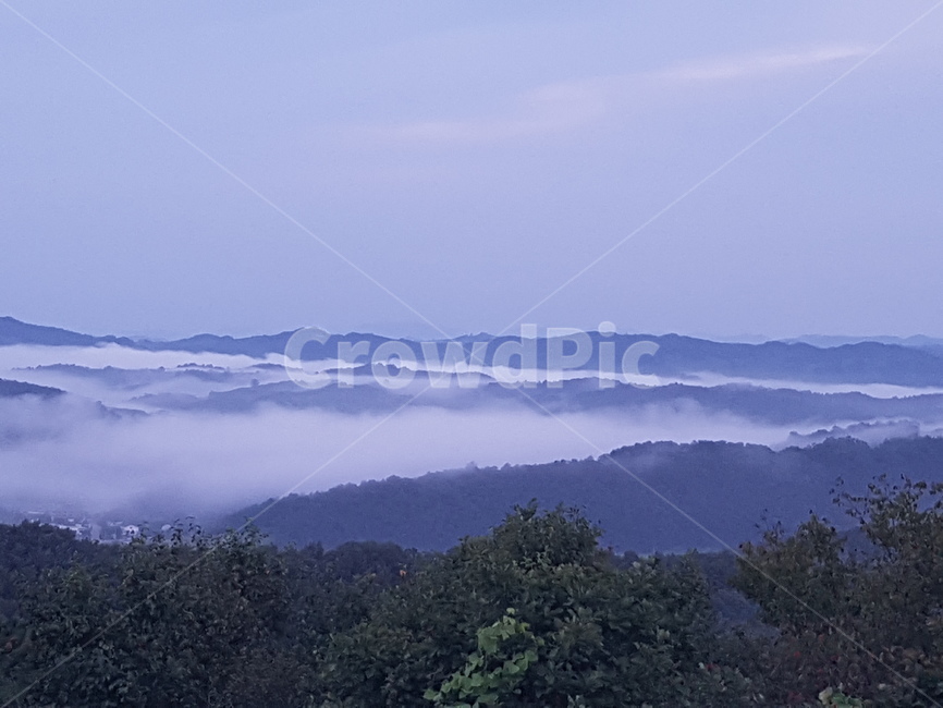 nature,자연,outdoors,옥외,구름,아침,운무,숲