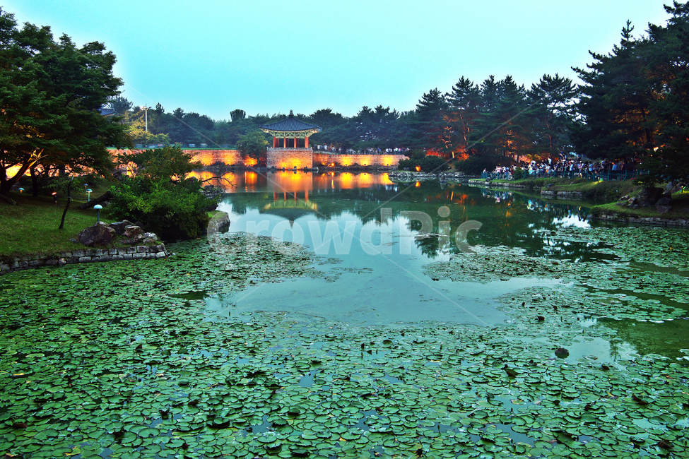 안압지,경주,동궁과월지,신라,유적지,야경,밤,풍경,nightscape,night,landscape,랜드마크,landmark,tourist attraction,한국랜드마크,한국관광지,한국명소,korea landmark,korea tourist attraction,사람들,대중,군중,other people,crowd,건축물,건물외관,exterior,building,structure,architecture,construction,건물,water,물,outdoors,옥외,nature,자연
