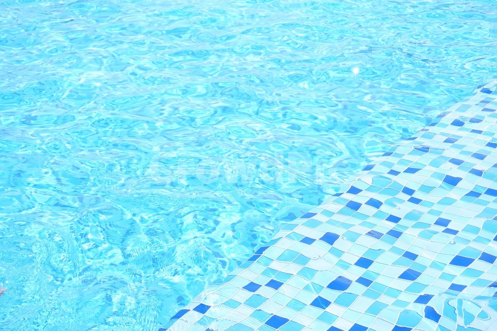여름,물,수영장,파랑,시원한,강,여름,계절,summer,season,water,pool,풀,sport,스포츠,sports,swimming,수영,swimming pool